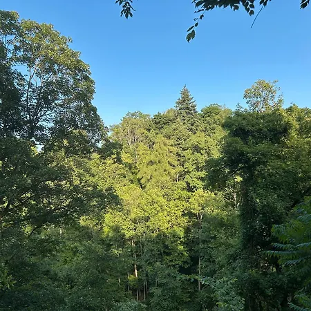 Hébergement de vacances Pur