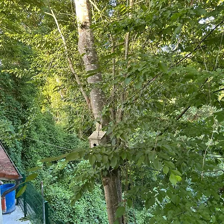 Tatil Evi Pur Kraiburg am Inn