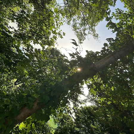 Pur